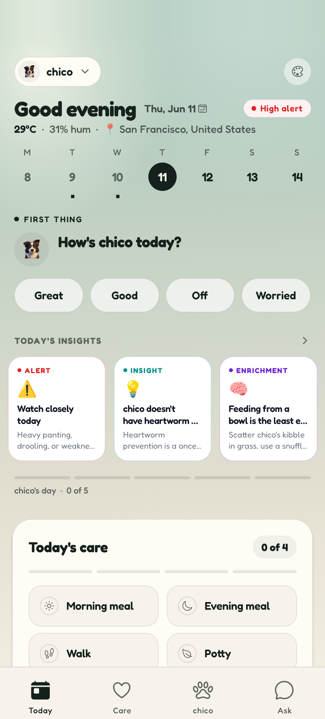 Pawsho's Today screen — your dog's day at a glance